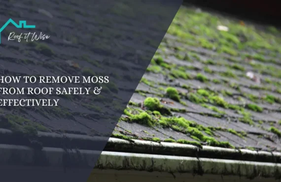 How to Remove Moss From Roof Safely & Effectively