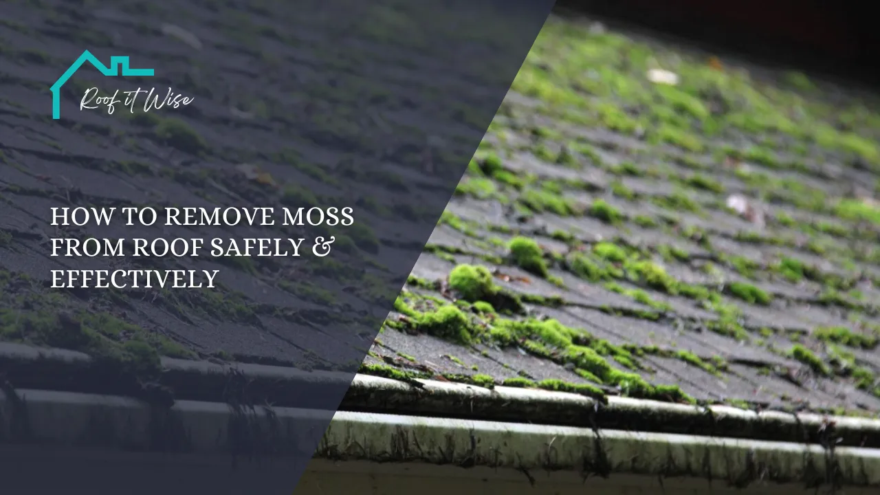 How to Remove Moss From Roof Safely & Effectively